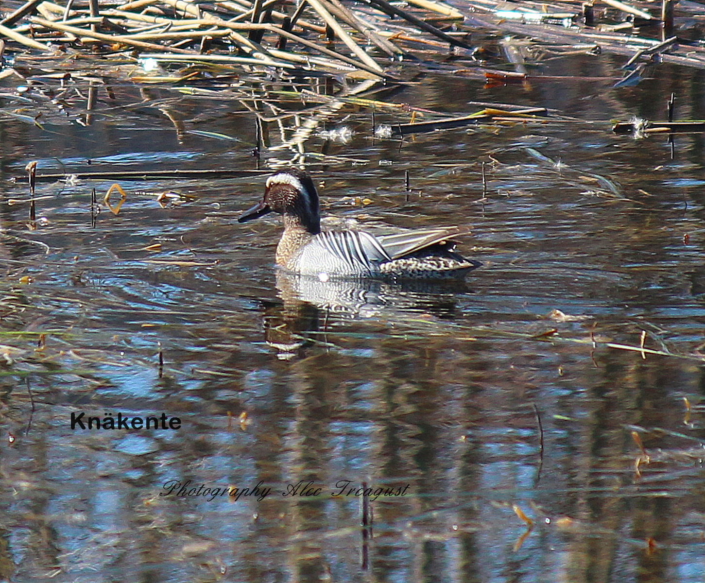 Botsberger Riet Flawil